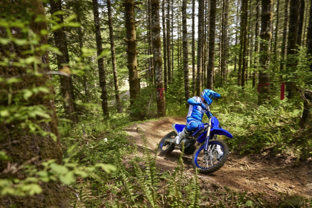 Action image of Yamaha YZ450FX in Blue colourway, winding bush trail