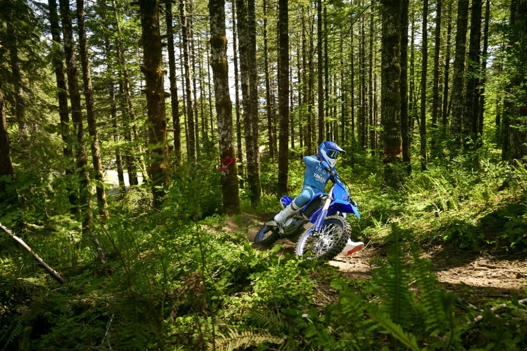 Action image of Yamaha YZ250FX in Blue colourway, riding through forest trail